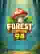 Forest Fortune 94