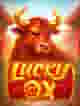 Lucky Ox